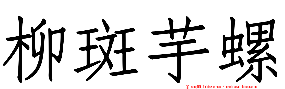柳斑芋螺