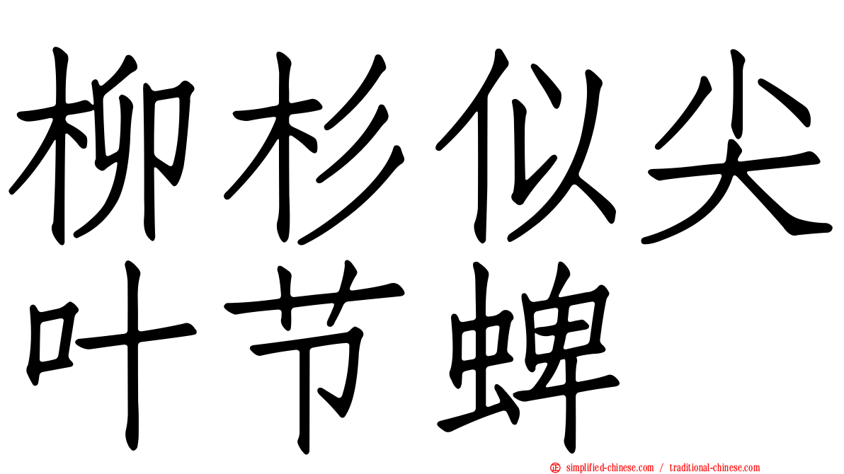 柳杉似尖叶节蜱