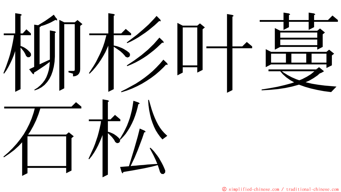 柳杉叶蔓石松 ming font