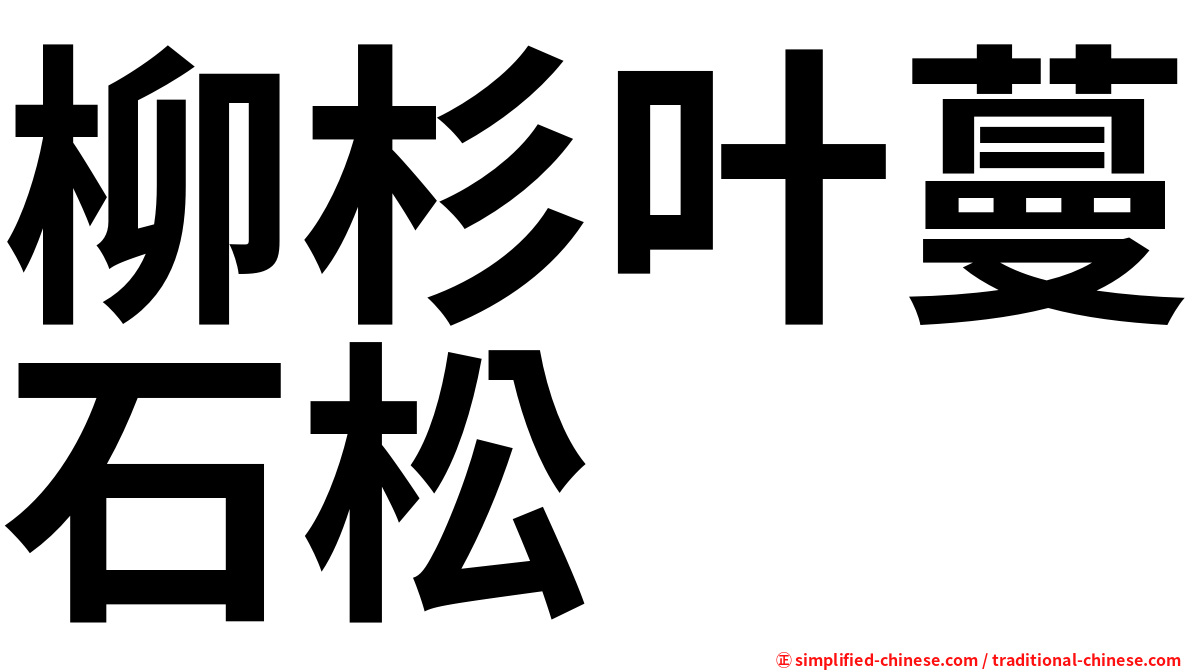 柳杉叶蔓石松