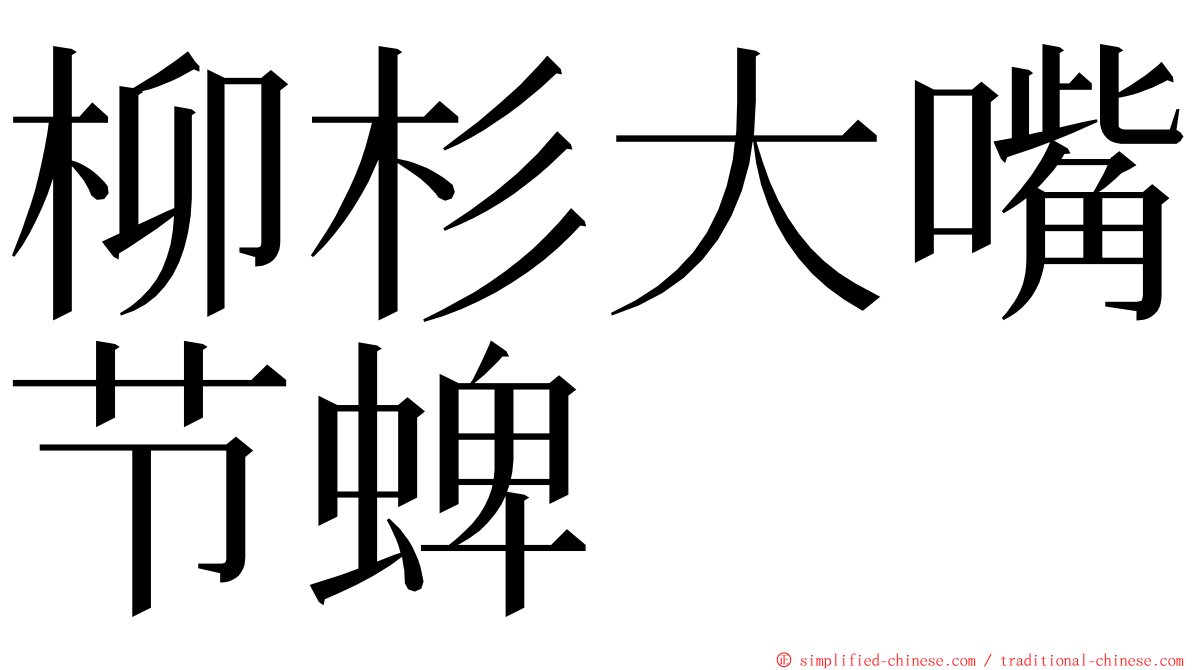 柳杉大嘴节蜱 ming font
