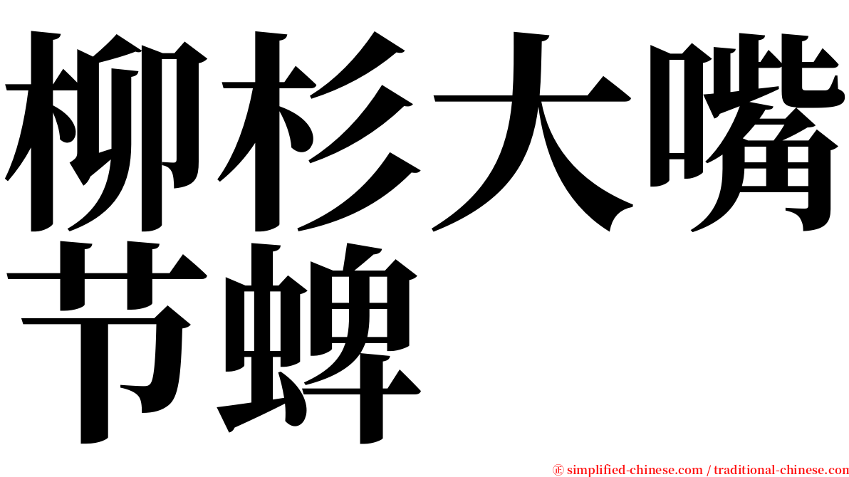 柳杉大嘴节蜱 serif font