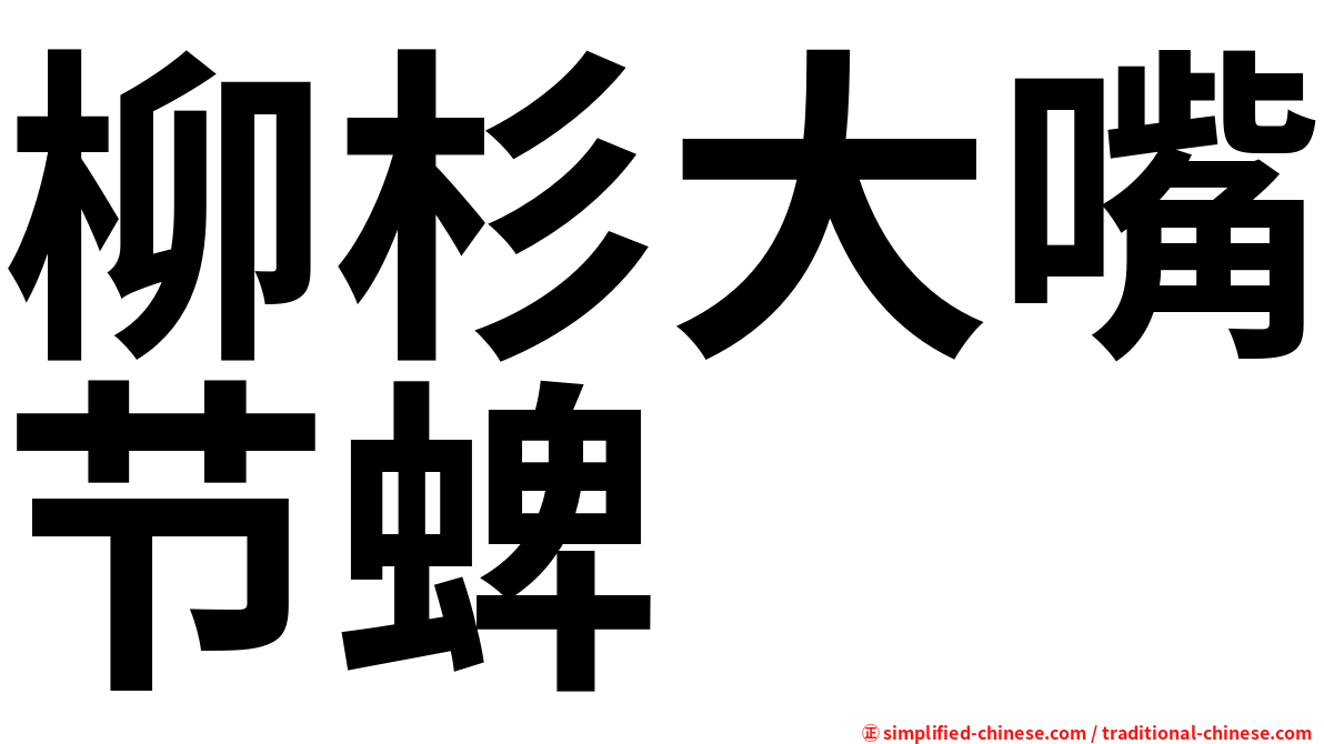 柳杉大嘴节蜱