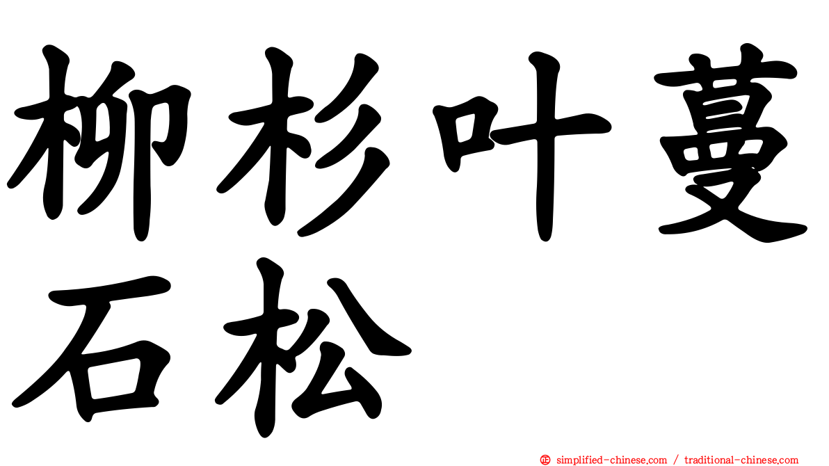 柳杉叶蔓石松