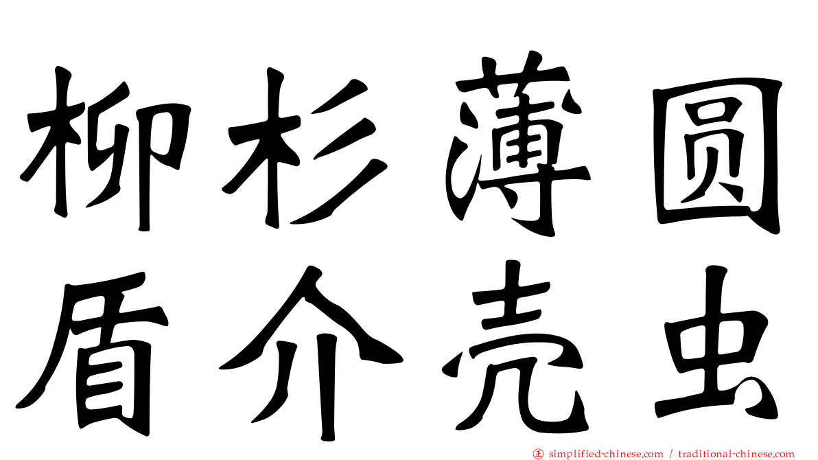 柳杉薄圆盾介壳虫