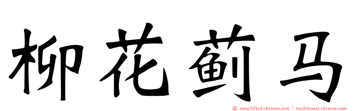 柳花蓟马