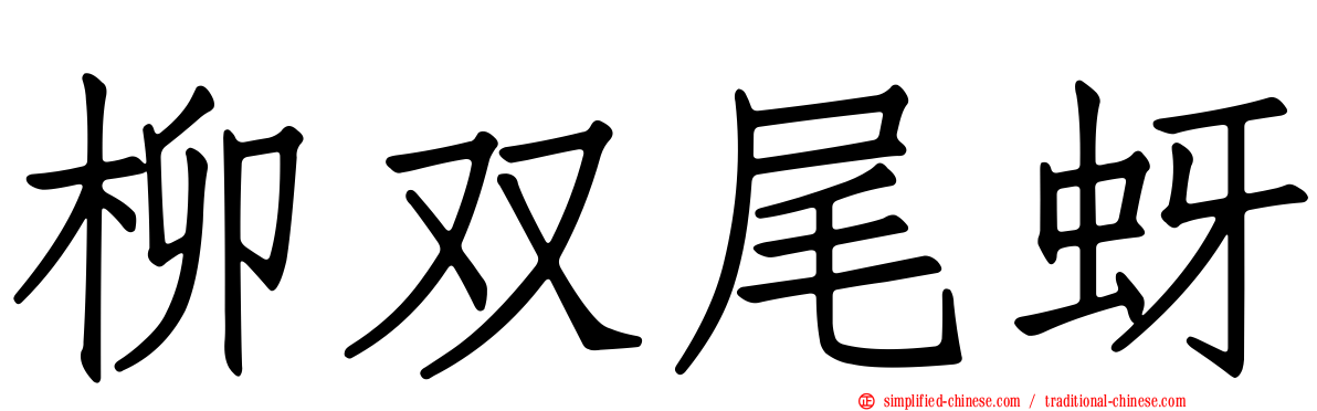 柳双尾蚜
