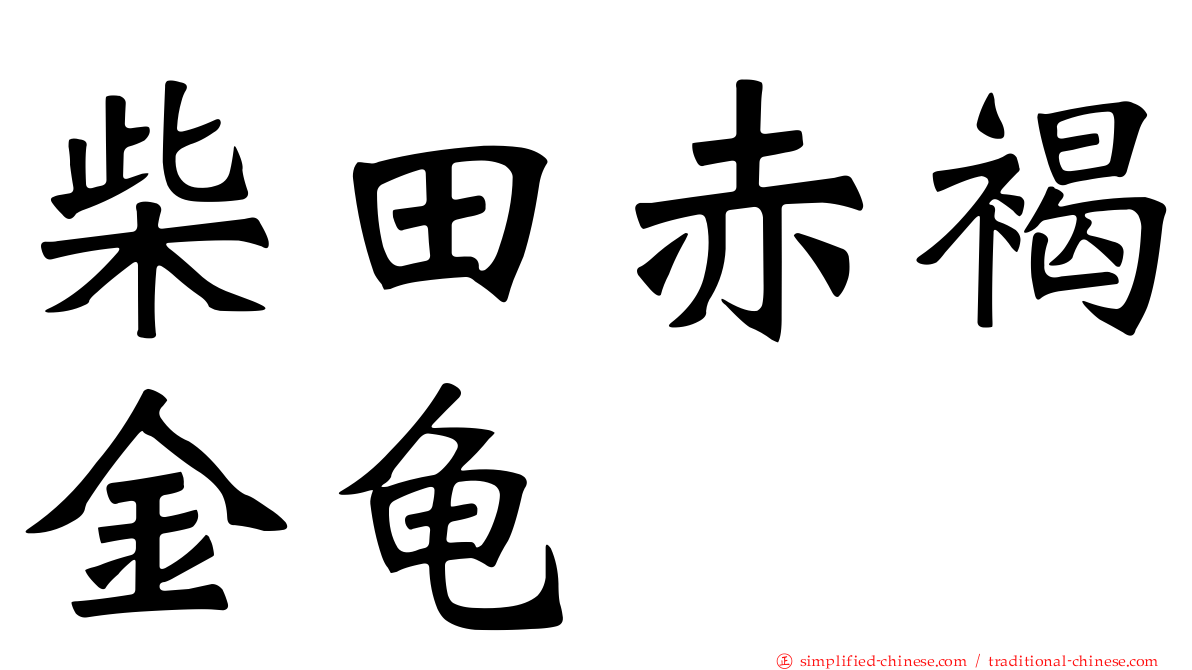 柴田赤褐金龟