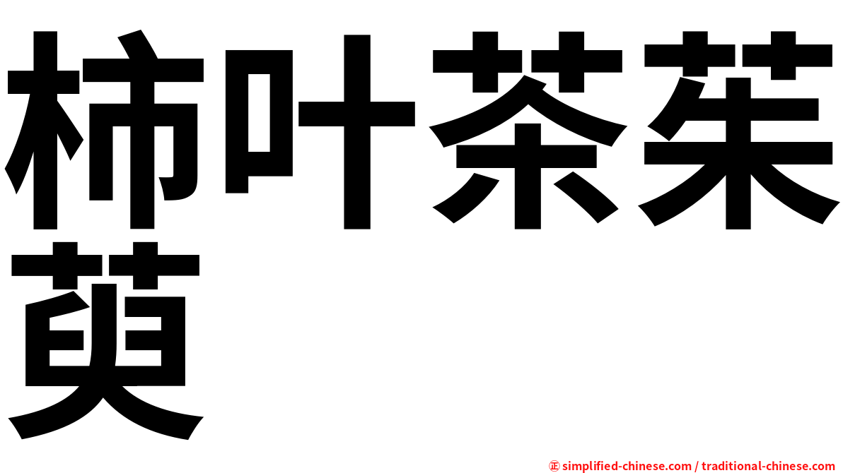 柿叶茶茱萸