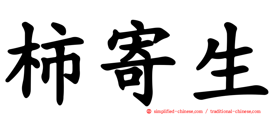 柿寄生