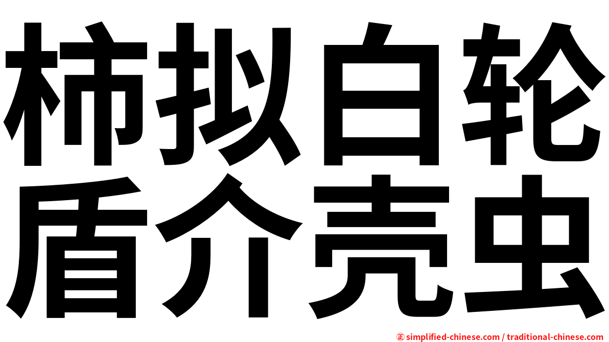 柿拟白轮盾介壳虫