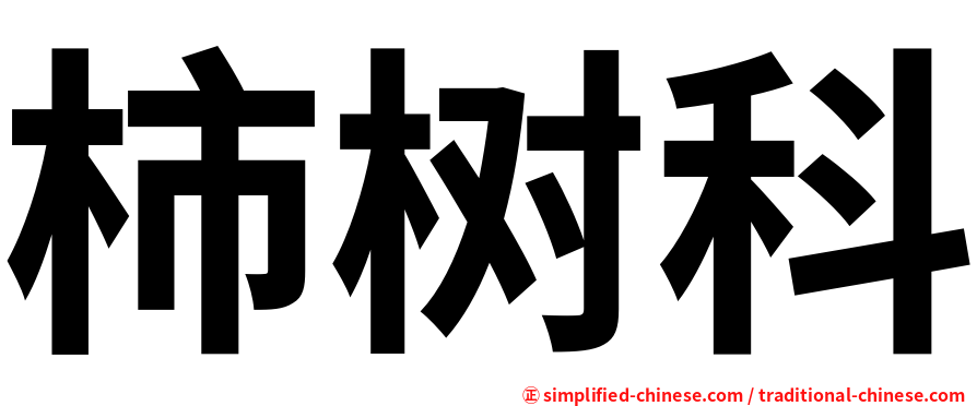 柿树科