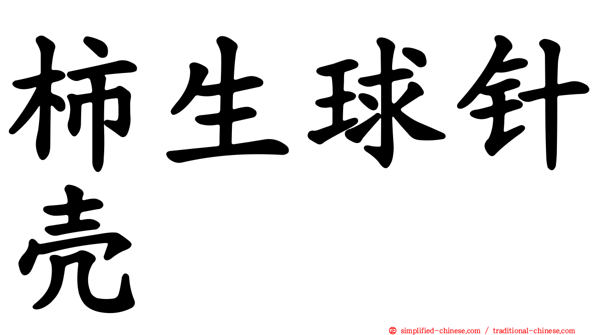 柿生球针壳