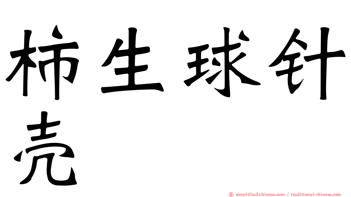 柿生球针壳