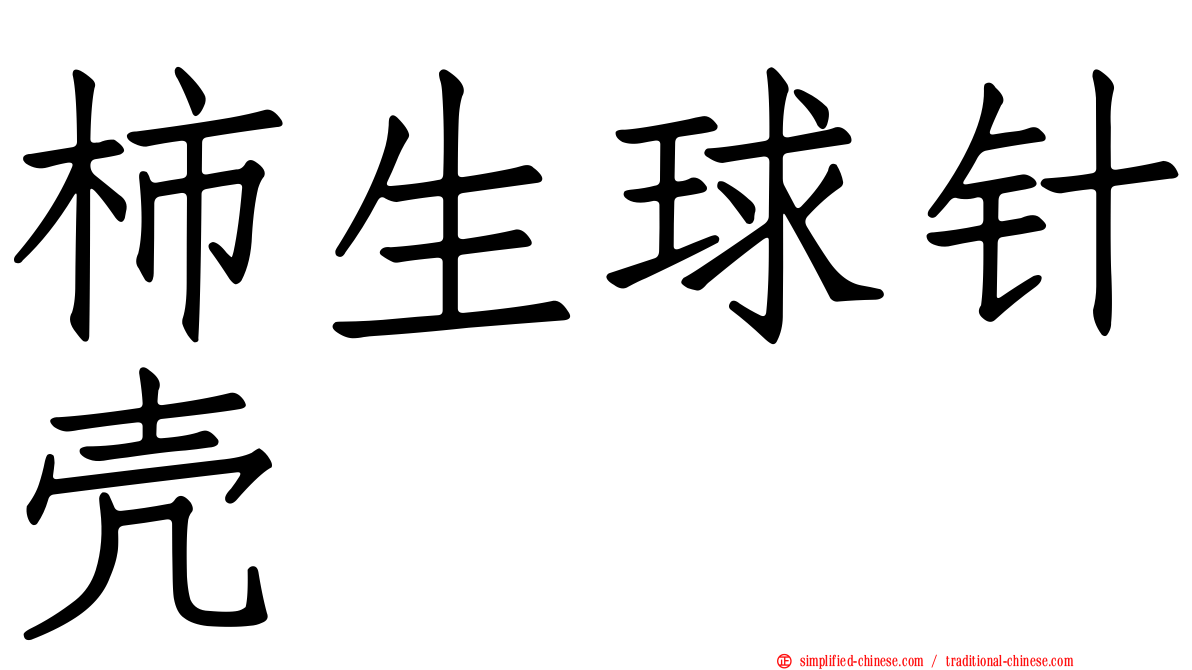 柿生球针壳