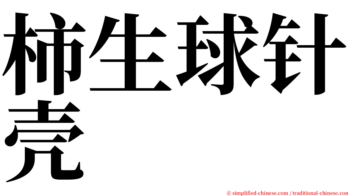 柿生球针壳 serif font