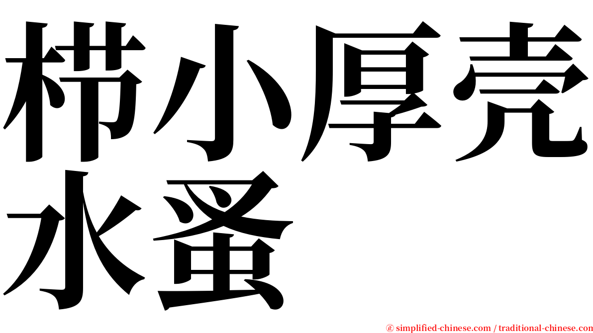 栉小厚壳水蚤 serif font