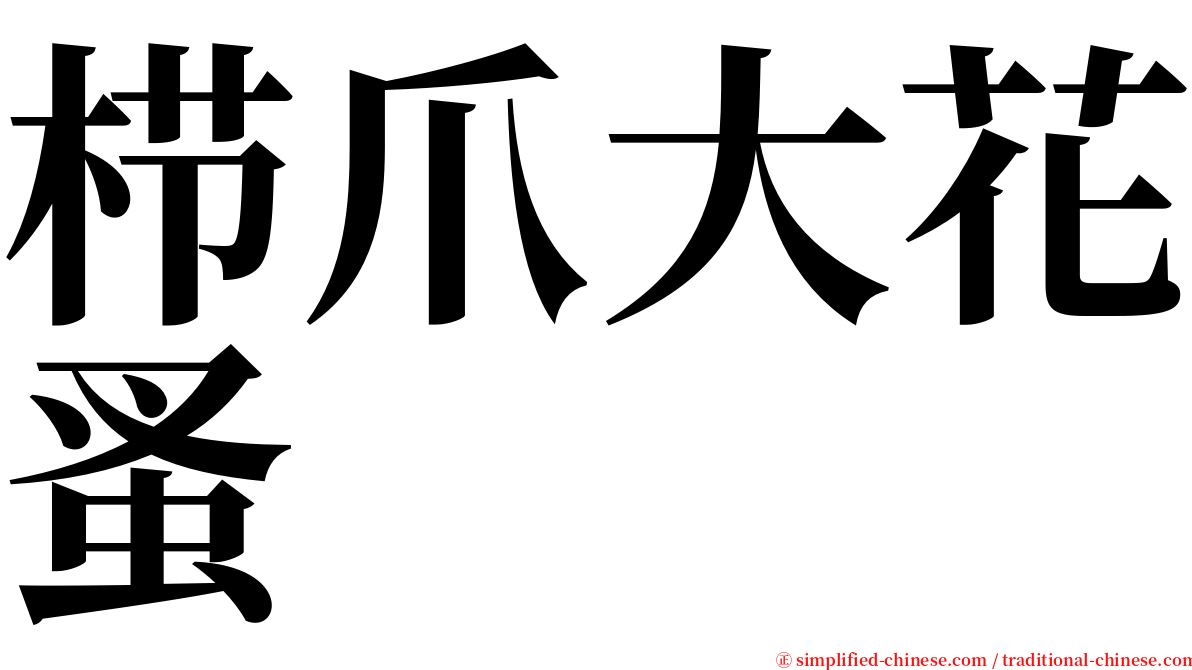 栉爪大花蚤 serif font