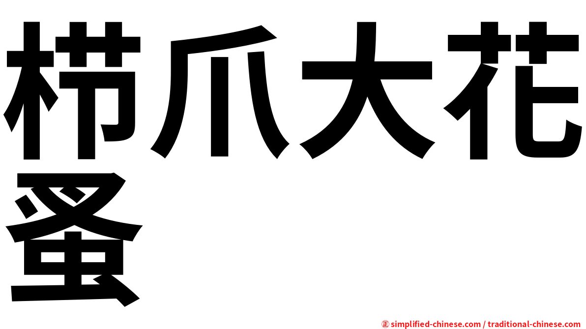 栉爪大花蚤
