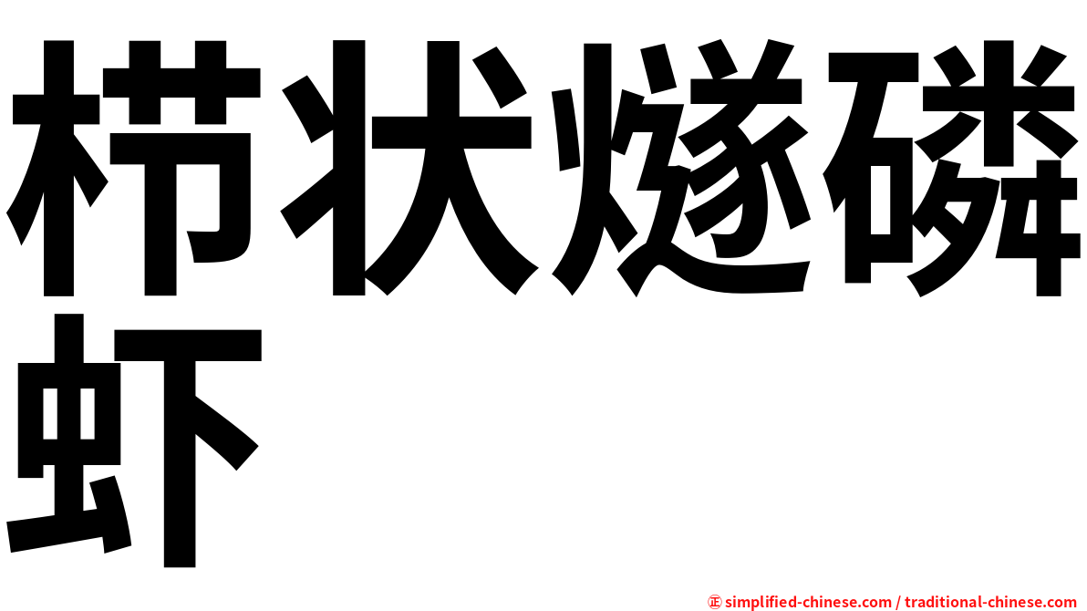 栉状燧磷虾