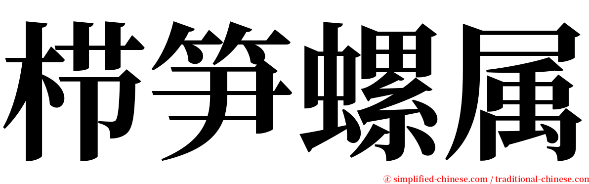 栉笋螺属 serif font