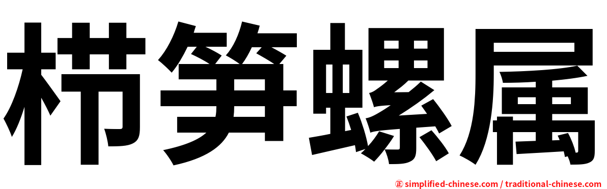 栉笋螺属