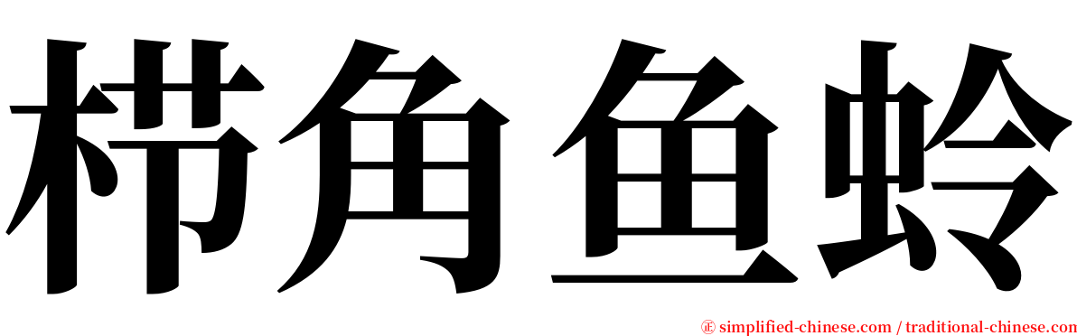 栉角鱼蛉 serif font