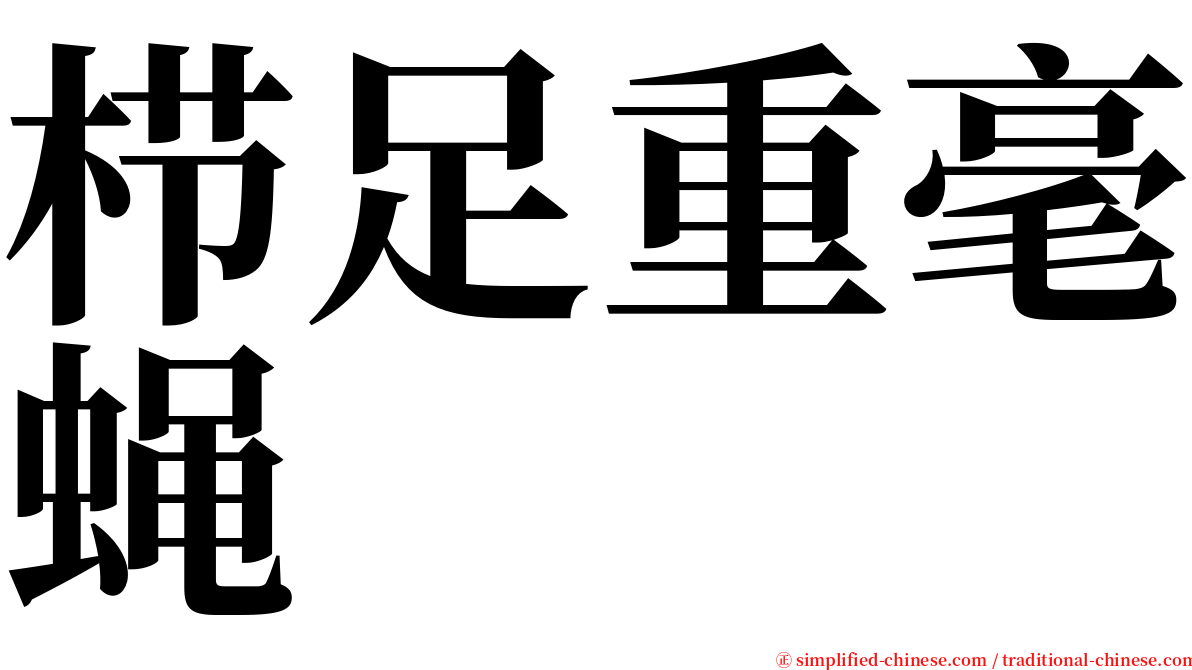 栉足重毫蝇 serif font