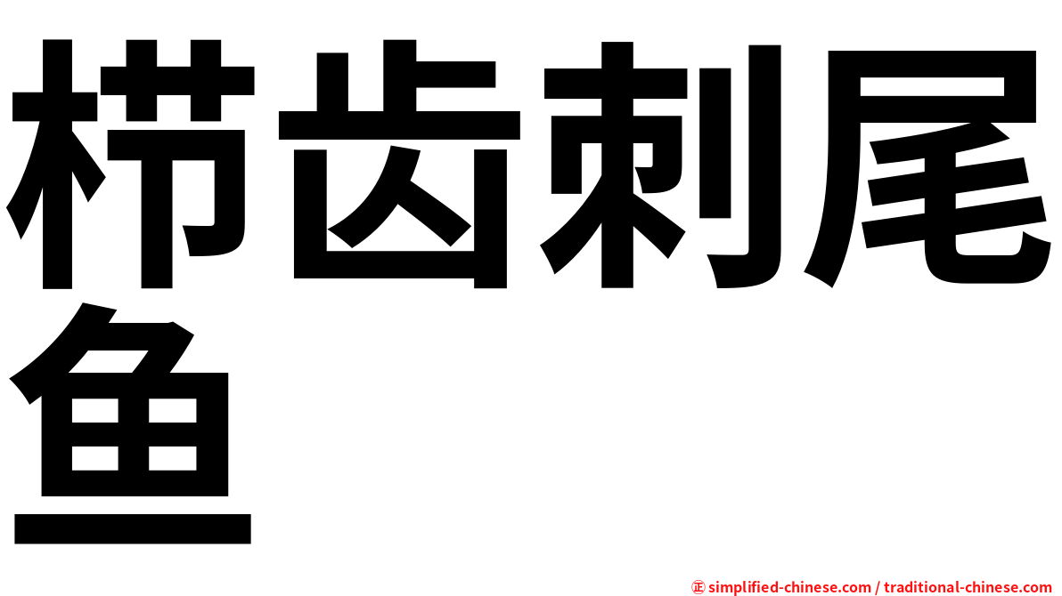 栉齿刺尾鱼