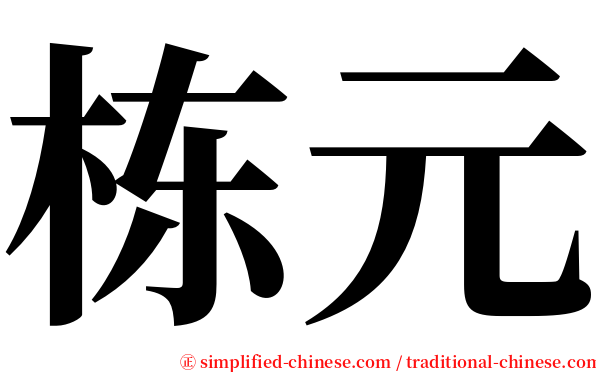 栋元 serif font