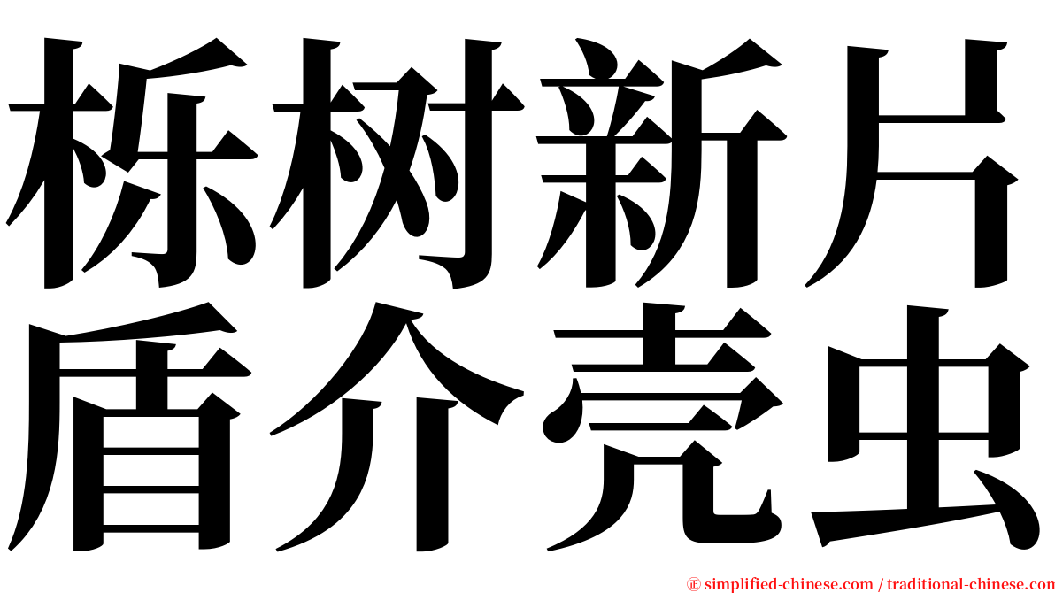 栎树新片盾介壳虫 serif font