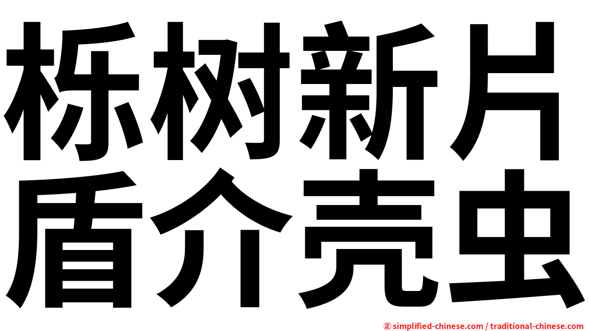 栎树新片盾介壳虫