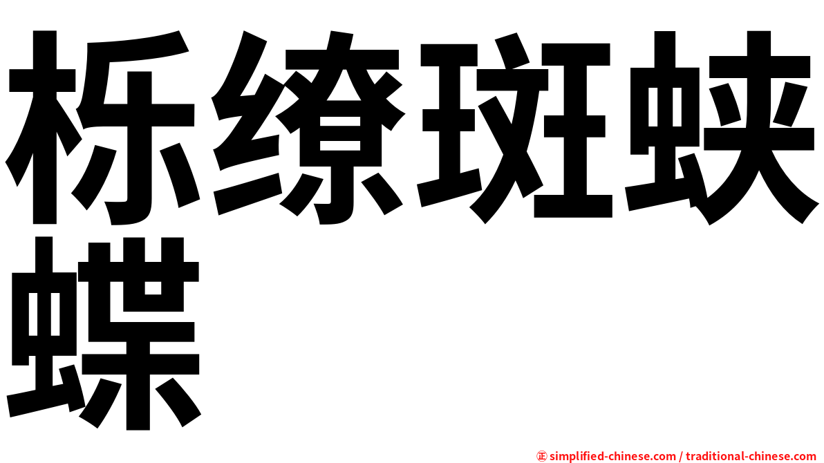 栎缭斑蛱蝶