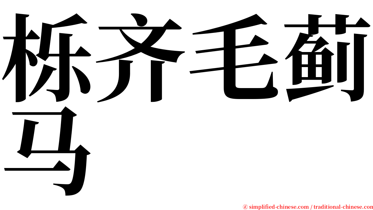 栎齐毛蓟马 serif font