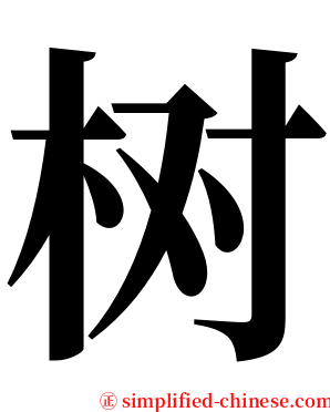 树 serif font
