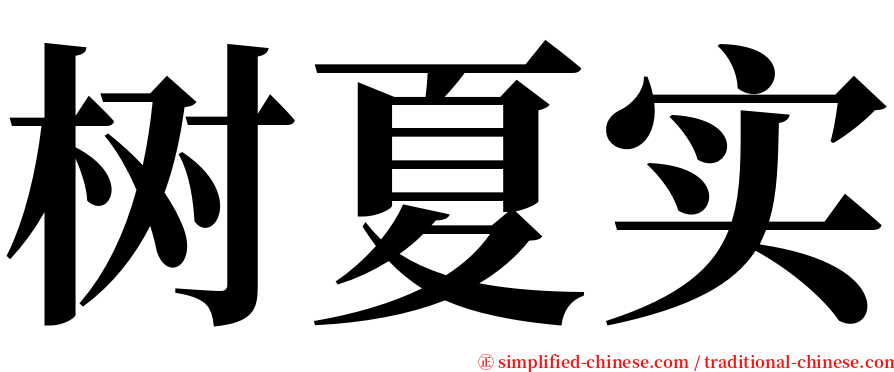 树夏实 serif font