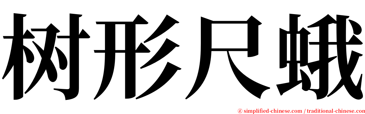 树形尺蛾 serif font