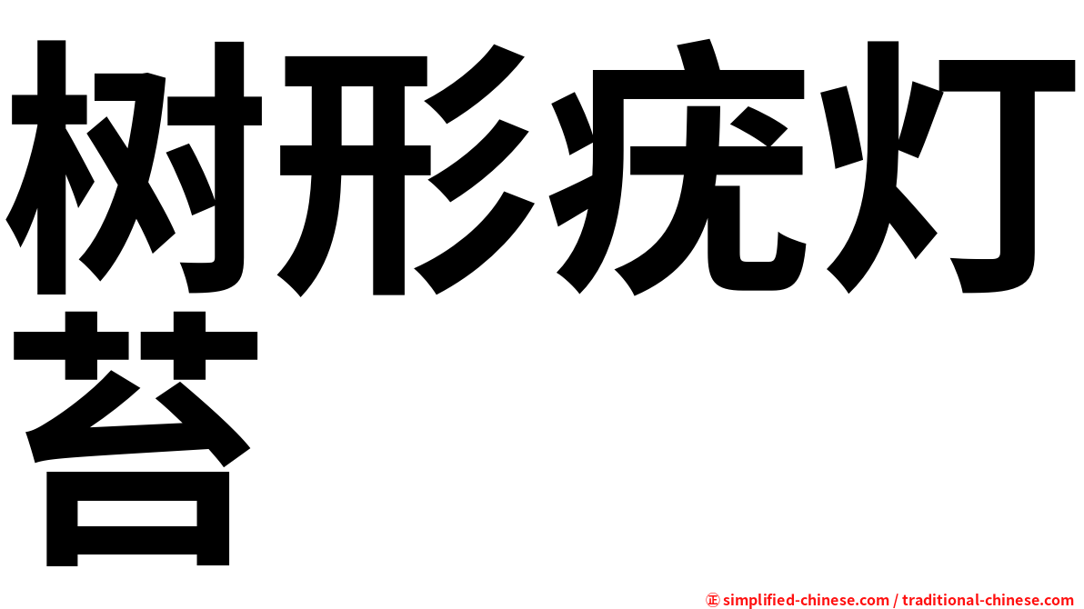 树形疣灯苔