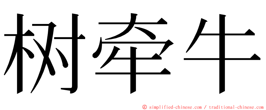 树牵牛 ming font