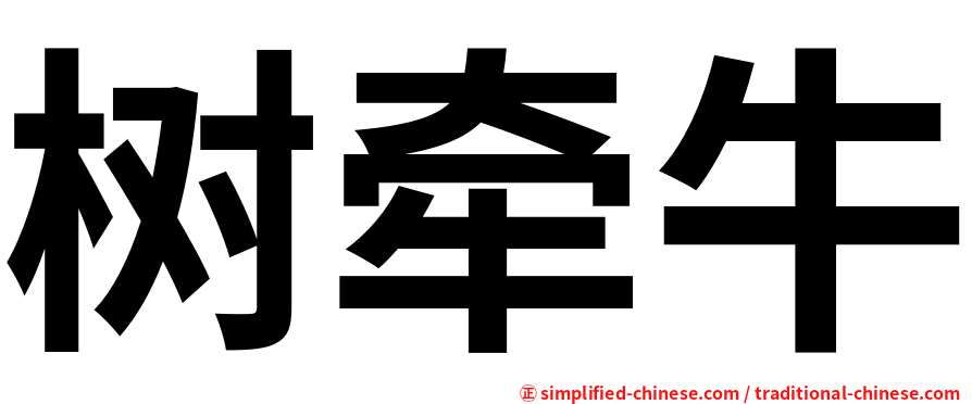 树牵牛