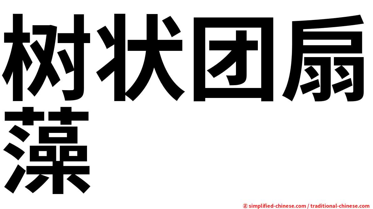 树状团扇藻