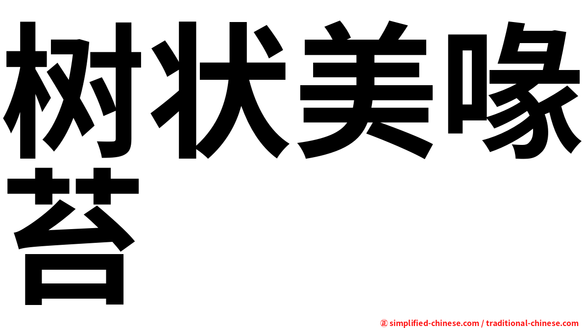 树状美喙苔