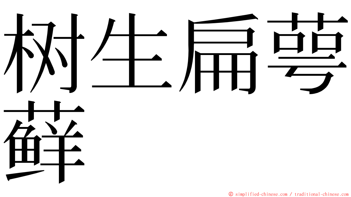 树生扁萼藓 ming font