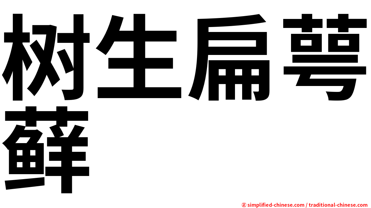 树生扁萼藓