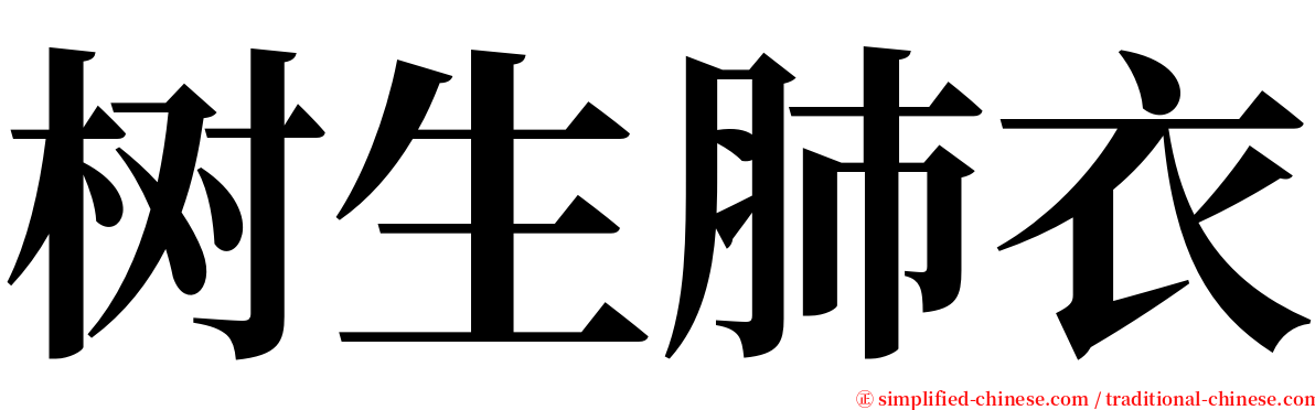 树生肺衣 serif font
