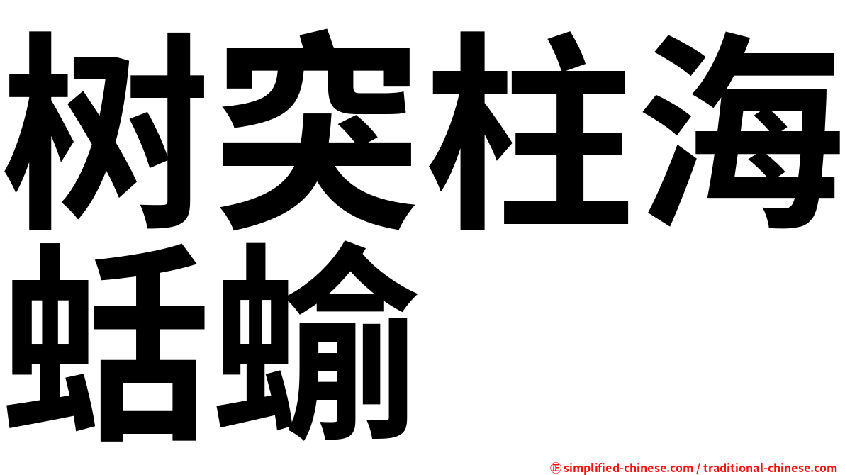 树突柱海蛞蝓