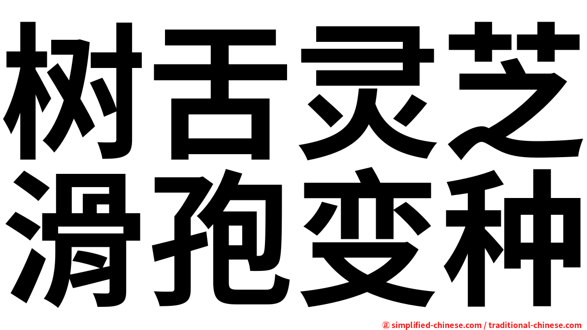树舌灵芝滑孢变种