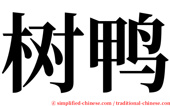 树鸭 serif font