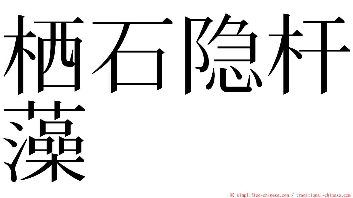 栖石隐杆藻 ming font