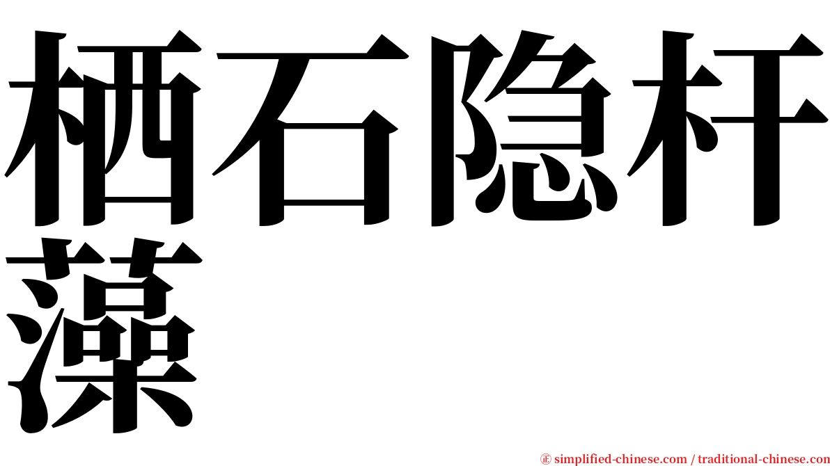 栖石隐杆藻 serif font